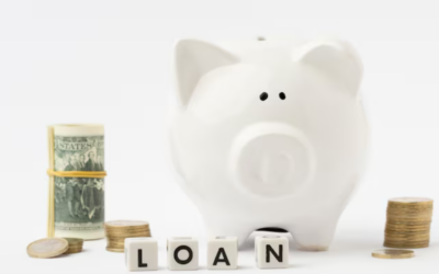 Business Loan vs. Line of Credit: How to Choose the Right Fit for Your Company